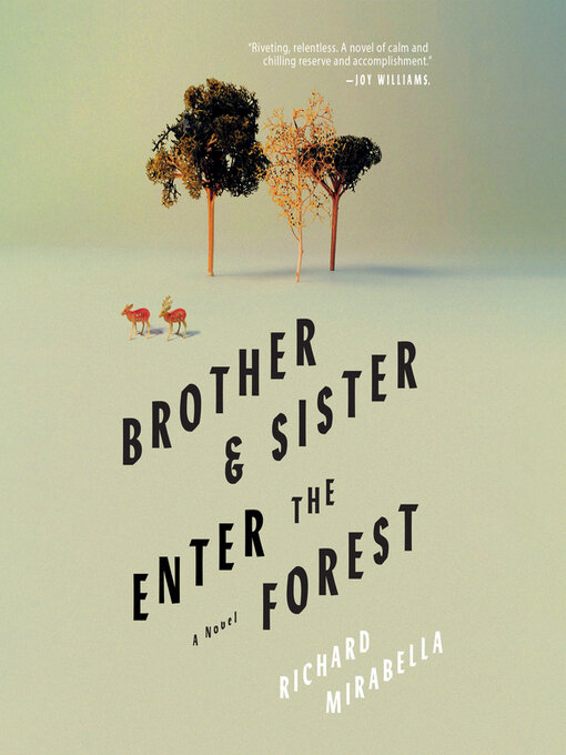 Title details for Brother & Sister Enter the Forest by Richard Mirabella - Available
